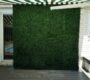 green-boxwood-backdrop