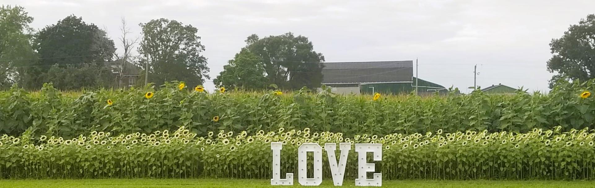 Orillia Baby Shower Marquee Block Letters for Rent