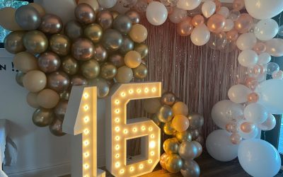 Kids Birthday Party Rentals in Napanee